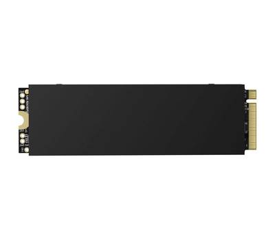 Накопитель SSD KINGSPEC XG7000 XG7000-1TB PRO