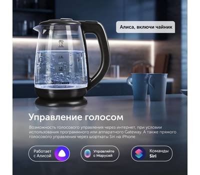 Чайник электрический RED SOLUTION RK-G212S SkyKettle