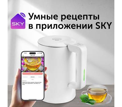 Чайник электрический RED SOLUTION RK-M216S SkyKettle