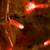 Гирлянда Neon-Night "Светодиодный Дождь" 2x0,8м, прозрачный провод, 230 В, диоды Красные 235-102